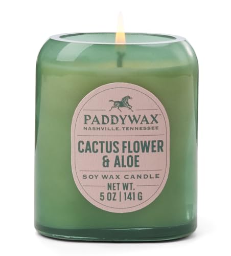 Vista Kerze, Glas, 340 g, Kaktusgrün – Kaktusblüte und Aloe von Paddywax