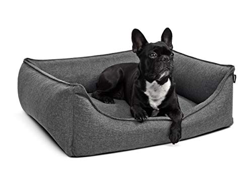 PadsForAll Hundebett Hundekörbchen auch ORTHOPÄDISCH MIT VISCOSCHAUMSTOFF Hundekissen M-XL grau PadsForAll Hundebett Hundekörbchen auch ORTHOPÄDISCH MIT VISCOSCHAUMSTOFF Hundekissen M-XL grau von PadsForAll