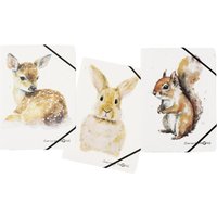 PAGNA Eckspanner Save me DIN A4 Rehkitz, Hase, Eichhörnchen von Pagna