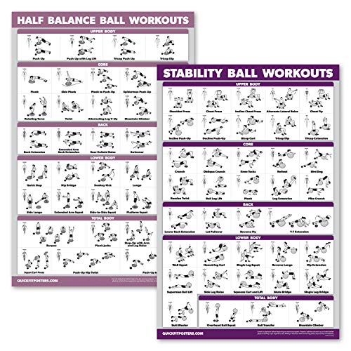 2er-Pack: Half Balance Ball Workout Poster + Yoga Ball Übungstabelle – Set mit 2 Workout-Postern (laminiert, 45,7 x 61 cm) von Palace Learning