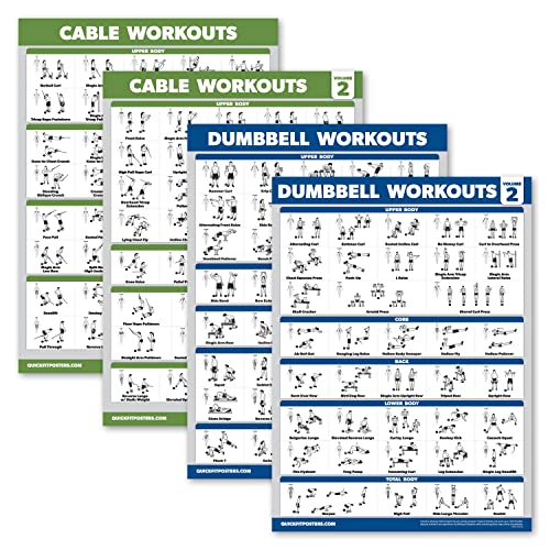 Trainingsposter für Kabelmaschinen, Band 1 und 2, mit Hantelübungen, laminiert, 45,7 x 61 cm, 4 Stück von Palace Learning
