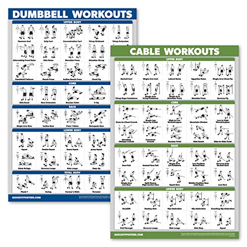 Palace Learning 2 Stück: Hantel-Workout-Poster + Kabelmaschine, Übungsroutine, 2 Stück (laminiert, 45,7 x 61 cm) von Palace Learning
