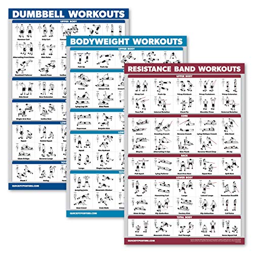 Palace Learning 3er-Pack – Hantel-Workouts + Körpergewichtsübungen + Widerstandsbänder-Poster-Set – Set mit 3 Trainingstabellen (laminiert, 45,7 x 61 cm) von Palace Learning