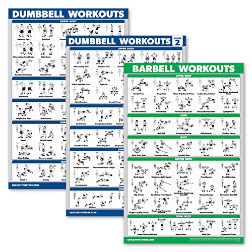 Palace Learning 3er-Pack: Hantel-Trainingsposter Band 1 & 2 + Langhantelübungen – Set mit 3 Workout-Diagrammen (laminiert, 45,7 x 61 cm) von Palace Learning