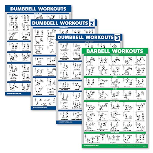 Palace Learning 4 Stück – Hantel-Workout-Poster Band 1, 2 und 3 + Langhantel-Übungstabelle – Set mit 4 Postern (laminiert, 45,7 x 61 cm) von Palace Learning
