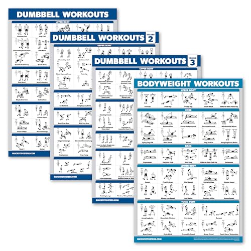 Palace Learning 4 Stück – Hantel-Workout-Poster Volumen 1, 2 und 3 + Körpergewicht-Übungstabelle – Set mit 4 Postern (laminiert, 45,7 x 61 cm) von Palace Learning