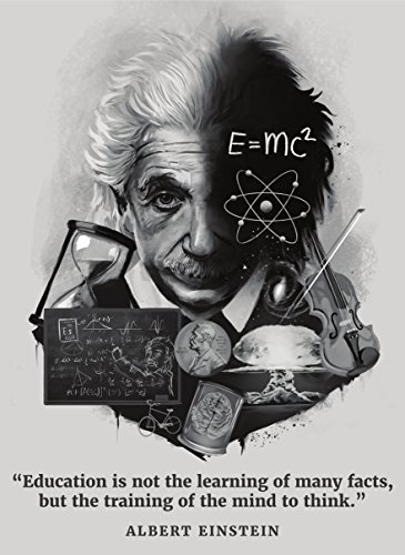 Palace Learning Albert Einstein Poster – inspirierendes und motivierendes Zitat (45 x 61 cm, laminiert) von Palace Learning
