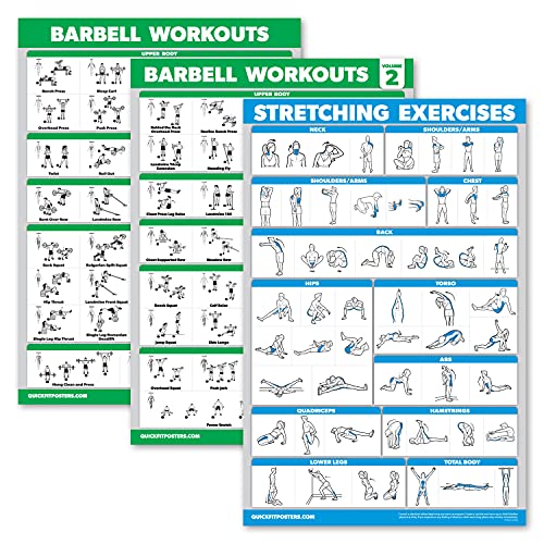 Palace Learning Barbell-Workout-Poster Band 1 & 2 + Stretch-Übungstabelle – Set mit 3 Postern (laminiert, 45,7 x 61 cm) 3 Stück von Palace Learning