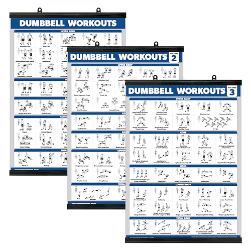 Palace Learning Hantel-Trainingsposter für das Fitnessstudio zu Hause, Band 1, 2 und 3, Übungstabellen (laminiert mit Kunststoffrahmen, 45,7 x 61 cm), 3 Stück von Palace Learning