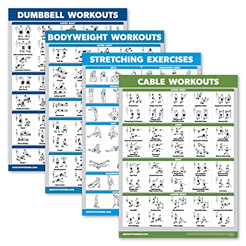 Palace Learning Hanteltraining + Körpergewichtsübungen + Dehnübungen + Kabelmaschinen-Workouts - Set mit 4 Workouts (laminiert, 45,7 x 61 cm) von Palace Learning
