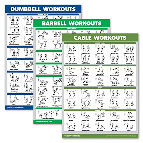 Palace Learning Hanteltraining + Langhantelübungen + Kabelmaschine Workouts - Set mit 3 Workouts (laminiert, 45,7 x 61 cm) von Palace Learning