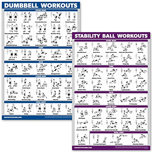 Palace Learning Hanteltraining und Gymnastikball-Poster-Set, laminiert, 2 Diagramme, Hantelübungsroutine und Stabilität, Yoga-Ball-Workouts (45,7 x 61 cm) von Palace Learning