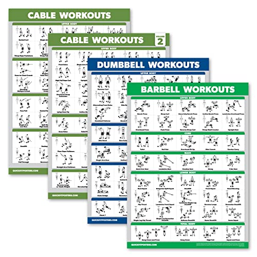 Palace Learning Kabelmaschinen-Workout-Poster, Band 1 & 2 + Hantelübungen + Langhantelübungen (laminiert, 45,7 x 61 cm), 4 Stück von Palace Learning