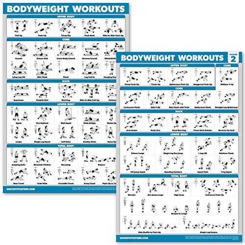 Palace Learning QUICKFIT Übungsposter-Set, Band 1 & 2, laminiertes Körpergewicht, 45,7 x 61 cm, 2 Stück von Palace Learning