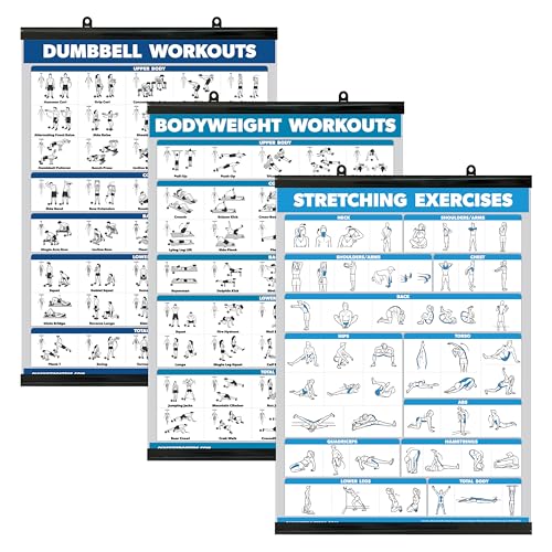 Palace Learning QuickFit Trainingsposter, Hanteltraining + Körpergewichtsübungen + Dehnroutine Poster-Set, 3er-Set (evtl. nicht in deutscher Sprache) (Laminiert mit Kunststoffrahmen, 45,7 x 61 cm) von Palace Learning