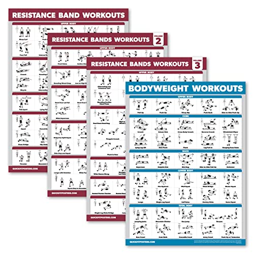 Palace Learning Widerstandsbänder, Workout-Poster, Band 1, 2 und 3 + Körpergewicht-Übungstabelle (laminiert, 45,7 x 61 cm), 4 Stück von Palace Learning