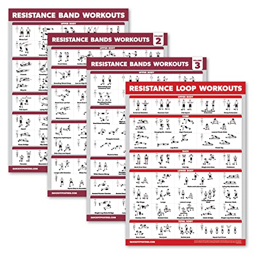 Palace Learning Widerstandsbänder, Workout-Übung, Band 1, 2 und 3, mit Widerstandsschlaufen, Fitnessdiagramm (laminiert, 45,7 x 61 cm), 4 Stück Fitness Zubehör von Palace Learning
