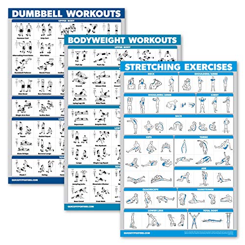 QuickFit 3er-Pack – Hanteltraining + Körpergewichtsübungen + Dehnungsroutine Poster Set – Set mit 3 Workout-Diagrammen (laminiert, 45,7 x 61 cm) von Palace Learning
