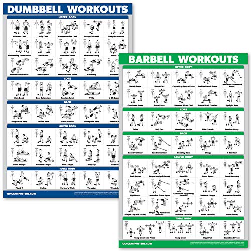 QuickFit Hanteltraining- und Langhantel-Übungsposter-Set (in englischer Sprache) – laminiertes 2-teiliges Diagramm-Set, laminiert, 18" x 27" von Palace Learning