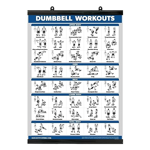 Übungsposter für Hanteltraining - inklusive Anleitung für Bodybuilding - Home Gym Chart - laminiert mit Kunststoffrahmen - 45,7 x 61 cm von Palace Learning
