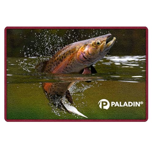 Paladin Türmatte 60x40cm Fußmatte mit Fischdekor Fußabtreter Haustür (Forelle) von Paladin