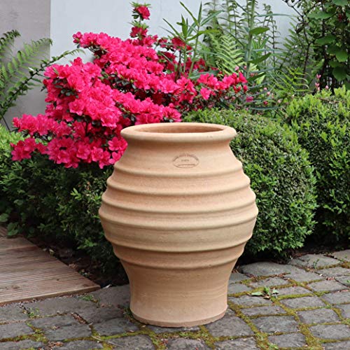 Palatina-Keramik | frostfeste Amphore Pflanzgefäß aus Terracotta | 35 cm | Pflanzkübel Blumentopf für Garten Balkon Agave von Palatina Werkstatt