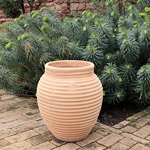 Palatina Keramik | handgefertigte Terracotta Amphore | frostfest und hochwertig | bauchige Gartenamphore Ficus in sechs Größen erhältlich (50cm) von Palatina Werkstatt