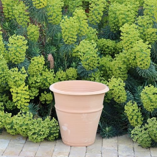 Palatina Werkstatt ,handgefertigter Terracotta Topf Blumenkübel Pflanzgefäß absolut frostfest, standfest, Übertopf zum Bepflanzen | Innen- und Außenbereich, Canna 40 cm von Palatina Werkstatt