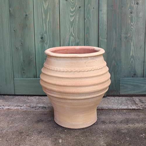 Palatina Werkstatt Exklusive Terracotta Amphore Ficus 35cm - 100% handgemachtes Unikat für Garten & Zuhause - Eine Zeitlose Schönheit aus Griechenland von Palatina Werkstatt