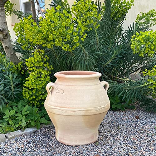 Palatina Werkstatt Terracotta Amphore Cassia 35cm - 100% handgefertigtes Unikat aus Griechenland - Verzaubern Sie Ihren Garten oder Terrasse in eine grüne Oase Palatina Werkstatt Terracotta Amphore Cassia 35cm - 100% handgefertigtes Unikat aus Griechenland - Verzaubern Sie Ihren Garten oder Terrasse in eine grüne Oase von Palatina Werkstatt