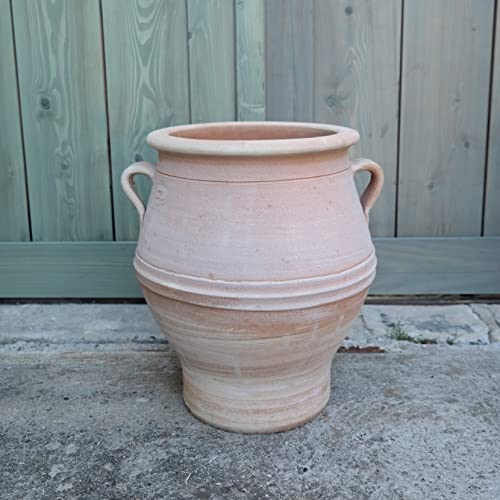 Palatina Werkstatt Terracotta Amphore Thymus 40cm - 100% Handgefertigtes Unikat - Exklusive winterfeste Amphore für den Garten- & Innenbereich von Palatina Werkstatt