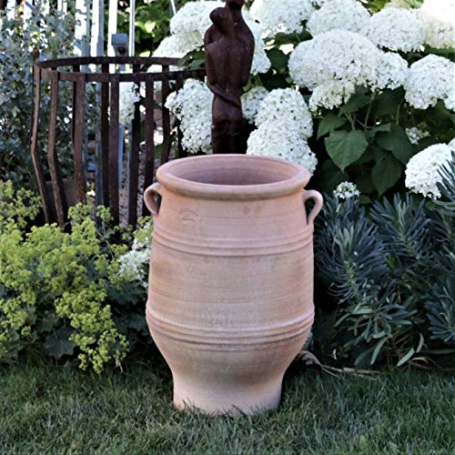 Terracotta Amphore "Thymus" 50cm - 100% Handgefertigtes Unikat - Exklusive winterfeste Amphore für den Garten- & Innenbereich von Palatina Werkstatt