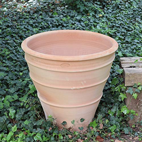 Palatina Werkstatt Terracotta Blumentopf Yucca 60cm - In 100% Handarbeit gefertigtes Unikat – Schmücken Sie Ihr Zuhause mit dem winterfesten Pflanzkübel für den Innen- & Außenbereich von Palatina Werkstatt