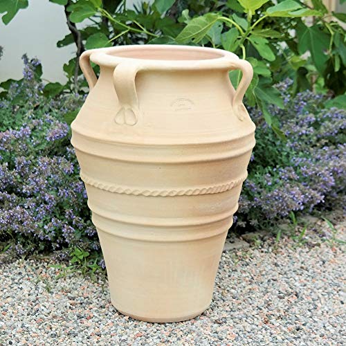 Palatina Werkstatt Exklusive Terracotta Amphore Datura 50cm - 100% Handgefertigtes Unikat - Unverwechselbare Schönheit für Ihren Garten & Innenbereich von Palatina Werkstatt