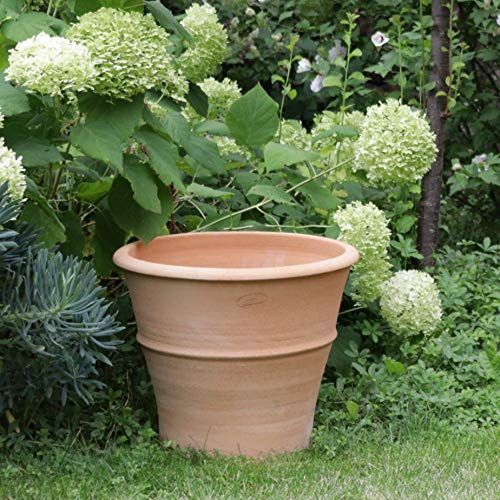 Palatina Werkstatt Terracotta Blumentopf Yucca 40cm - In 100% Handarbeit gefertigtes Unikat – Schmücken Sie Ihr Zuhause mit dem winterfesten Pflanzkübel für den Innen- & Außenbereich von Palatina Werkstatt