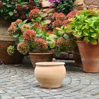 Blumentopf Aus Keramik - Frostfest Und Handgemacht 30cm Höhe/35cm Durchmesser Blumentopf Aus Keramik - Frostfest Und Handgemacht 30cm Höhe/35cm Durchmesser von PalatinaWerkstatt