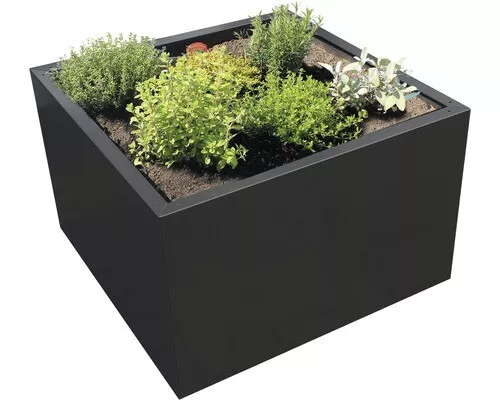 Palatino Pflanzgefäß Clara 80 X 80 X 50 Cm Anthrazit Blumentopf Blumenzubehör B-Ware von Palatino