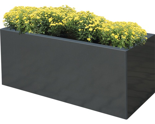 Palatino Pflanzkübel Lotte Zink Blumenkasten Blumentopf 120x40x50 Cm Anthrazit B-Ware von Palatino
