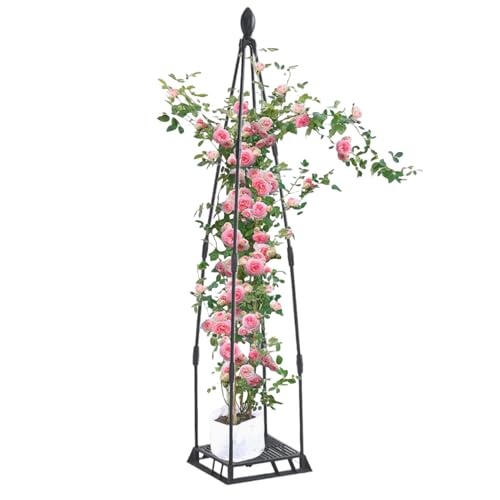 Palaufr Rankgitter für Kletterpflanzen im Garten,Metall Pflanzenstützen für den Innenbereich - Stabiler Rankturm Für Gewächshaus Rosen Kübel Terrasse Garten Balkon Palaufr Rankgitter für Kletterpflanzen im Garten,Metall Pflanzenstützen für den Innenbereich - Stabiler Rankturm Für Gewächshaus Rosen Kübel Terrasse Garten Balkon von Palaufr