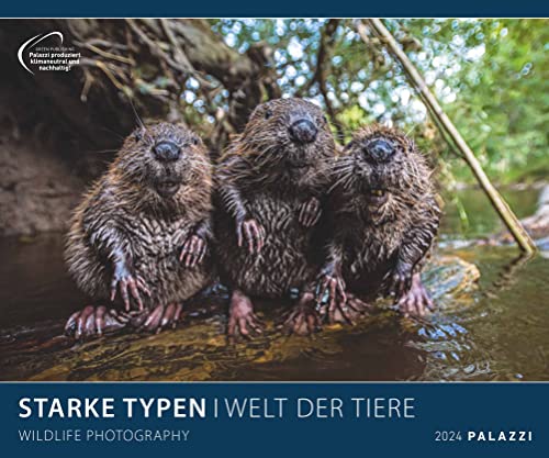 PALAZZI Starke Typen Posterkalender 2024, im Format 60 x 50 cm, Monatskalender zum aufhängen, Kalender mit Bilder majestätischer Tiere: Wildlife Photography von Palazzi