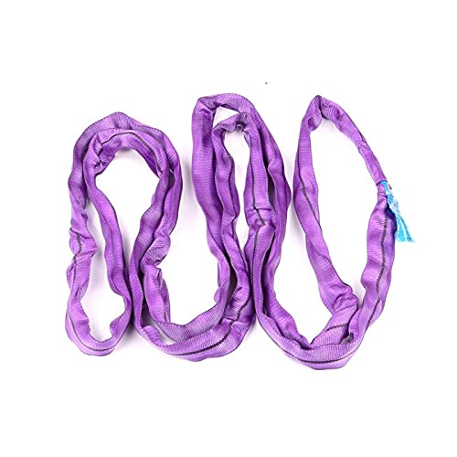 Pallit Rundschlinge 1000 kg Tragkraft, 3 m Nutzlänge, 6 m Umfang, Hebeschlinge, extrem hohe Festigkeit, Purple, Polyester, Fahrzeug, CARGO_STRAP von Pallit