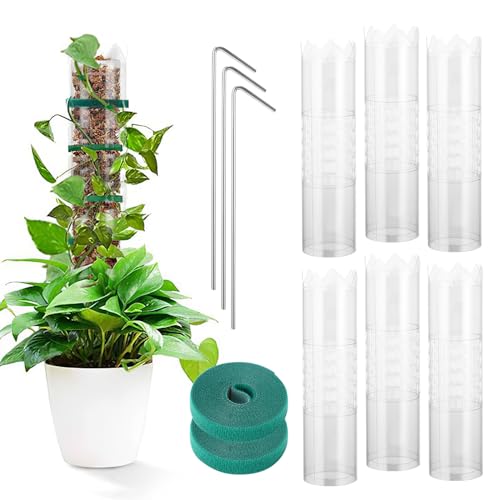 6 Pack Monstera Pflanze, Monstera Rankhilfe Für Monstera Mit Zubehör, DIY Moss Pole Helfen Sie Zimmerpflanzen Beim Wachsen, Rankhilfe Zimmerpflanzen for Garten Klettern Pflanzen von Palmcee