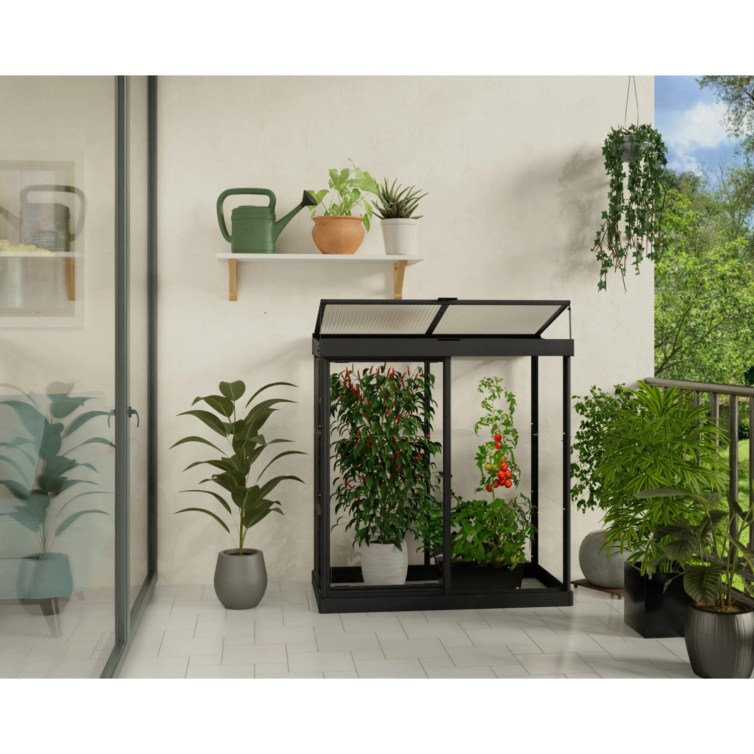 Palram - Canopia Minigewächshaus Ivy 64 cm x 124 cm Schwarz Palram - Canopia Minigewächshaus Ivy 64 cm x 124 cm Schwarz von Palram - Canopia