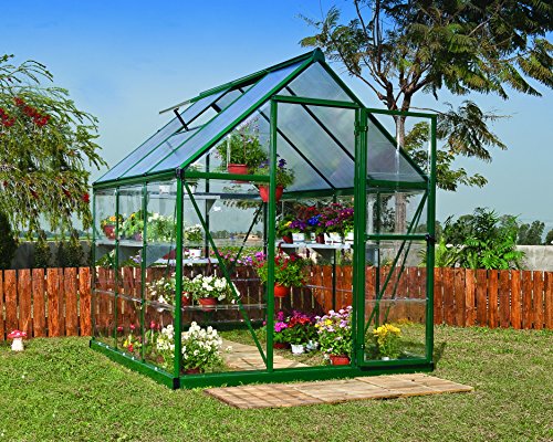 Palram HYBRID 6X6 Bundle Grün Gewächshaus, 186x185x208 cm von Palram