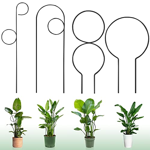 Palwin 4 Stück Rankhilfe für Zimmerpflanzen, Rankhilfe für Zimmerpflanzen, Garten Pflanzenstütze Rankhilfe aus Metal für Blumen und Gemüsestützen zum Klettern Gartenliebhaber von Palwin