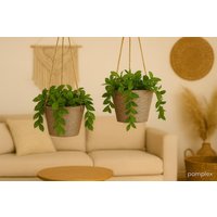 Blumenampel - Blumentopf Hängetopf Mit Kordel Kunststoffeinsatz Pflanztopf Zum Hängen Boho Deko 3 Farben Wählbar von Pamplex