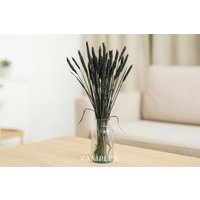 Diy Trockenblumen Weizen Schwarz - Getrocknetes Getreide Natürliche Dekoration Trockengräser Deko Landhausstil Herbstdeko Diy Trockenblumen Weizen Schwarz - Getrocknetes Getreide Natürliche Dekoration Trockengräser Deko Landhausstil Herbstdeko von Pamplex