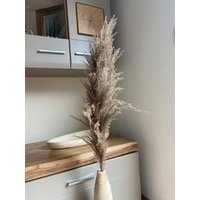 Getrocknetes Pampasgras Xl - Getrocknete Gräser Trockenblume Für Boho-Dekorationen von Pamplex