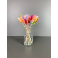 Bunter Trockenblumenstrauß Mit Vase - Lagurus Bunny Tails Tischdeko Trockenblumen Regenbogen Blumenstrauß Geschenkidee von Pamplex