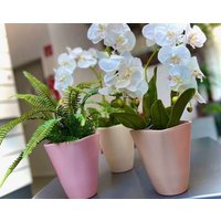 Orchideentopf - Pflanztopf Übertopf Keramiktopf Für Orchideen in Verschiedenen Farben von Pamplex
